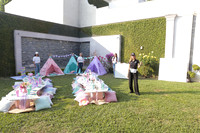 Dreams 15